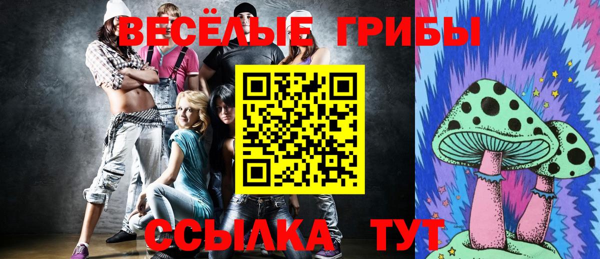 Камышлов  Псилоцибиновые грибы Magic Shrooms  Вход с VPN 